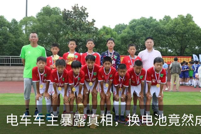 电车车主暴露真相，换电池竟然成了心头的隐痛！